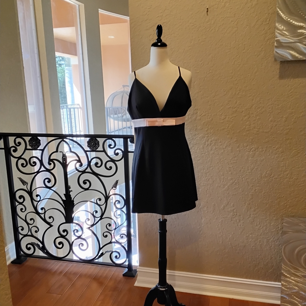 Fashion Nova Black and Pink Mini Dress